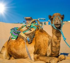 Нова година 2026 в Тунис, със самолет от София - 6 нощувки